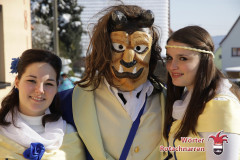 fasching-wrt-2013-10