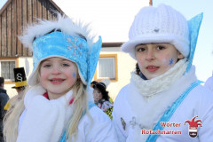 fasching-wrt-2013-103