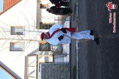 fasching-wrt-2013-132