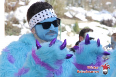 fasching-wrt-2013-16