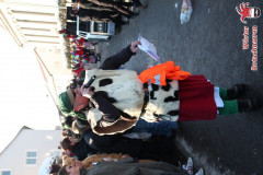 fasching-wrt-2013-179