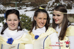 fasching-wrt-2013-21