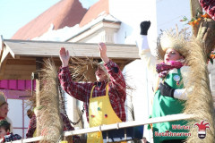 fasching-wrt-2013-215