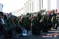 fasching-wrt-2013-280