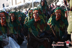 fasching-wrt-2013-281