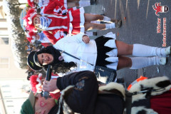 fasching-wrt-2013-303