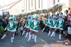 fasching-wrt-2013-319