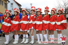 Fasching-Woert-2014_203