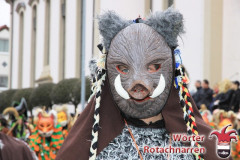 Fasching-Woert-2014_352