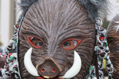 Fasching-Woert-2014_354