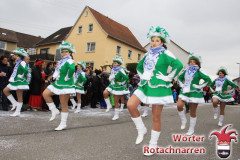 Fasching-Woert-2014_400