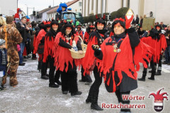 Fasching-Woert-2014_410