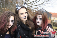 Fasching-Woert-2014_426