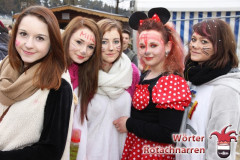 Fasching-Woert-2014_453