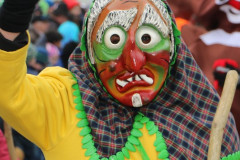 Fasching-Woert-2015_285