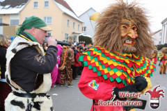 Fasching-Woert-2015_295