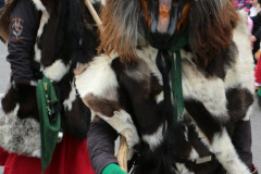 Fasching-Woert-2015_407