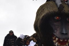 Fasching-Woert-2016_431