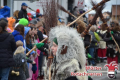 Fasching-Woert-2016_461