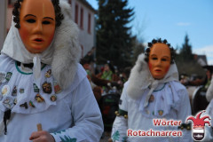 Fasching-Woert-2017_195