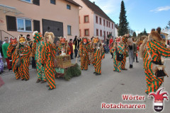 Fasching-Woert-2017_210