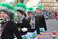Fasching-Woert-2017_314