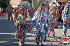 Fasching-Woert-2017_388