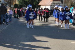 Fasching-Woert-2017_399