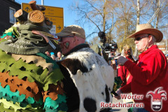 Fasching-Woert-2017_429
