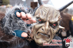 Fasching-Woert-2018_208