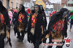 Fasching-Woert-2018_230