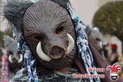 Fasching-Woert-2018_343