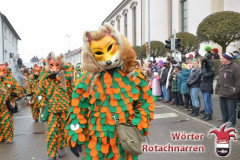 Fasching-Woert-2018_347
