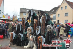 Fasching-Woert-2018_35