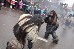 Fasching-Woert-2018_478