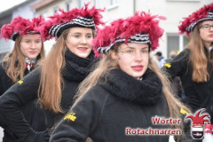 Fasching-Woert-2018_506