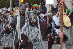 Fasching-Woert-2020_114