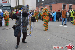 Fasching-Woert-2020_119